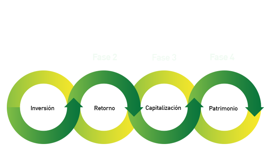 Cinovatec:.Ciclo De Vida